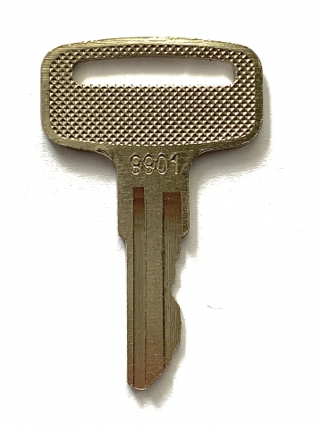 Schlüssel 9901